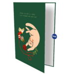 Cat with Sock Greeting Card