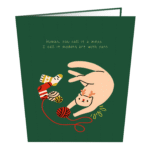 Cat with Sock Greeting Card